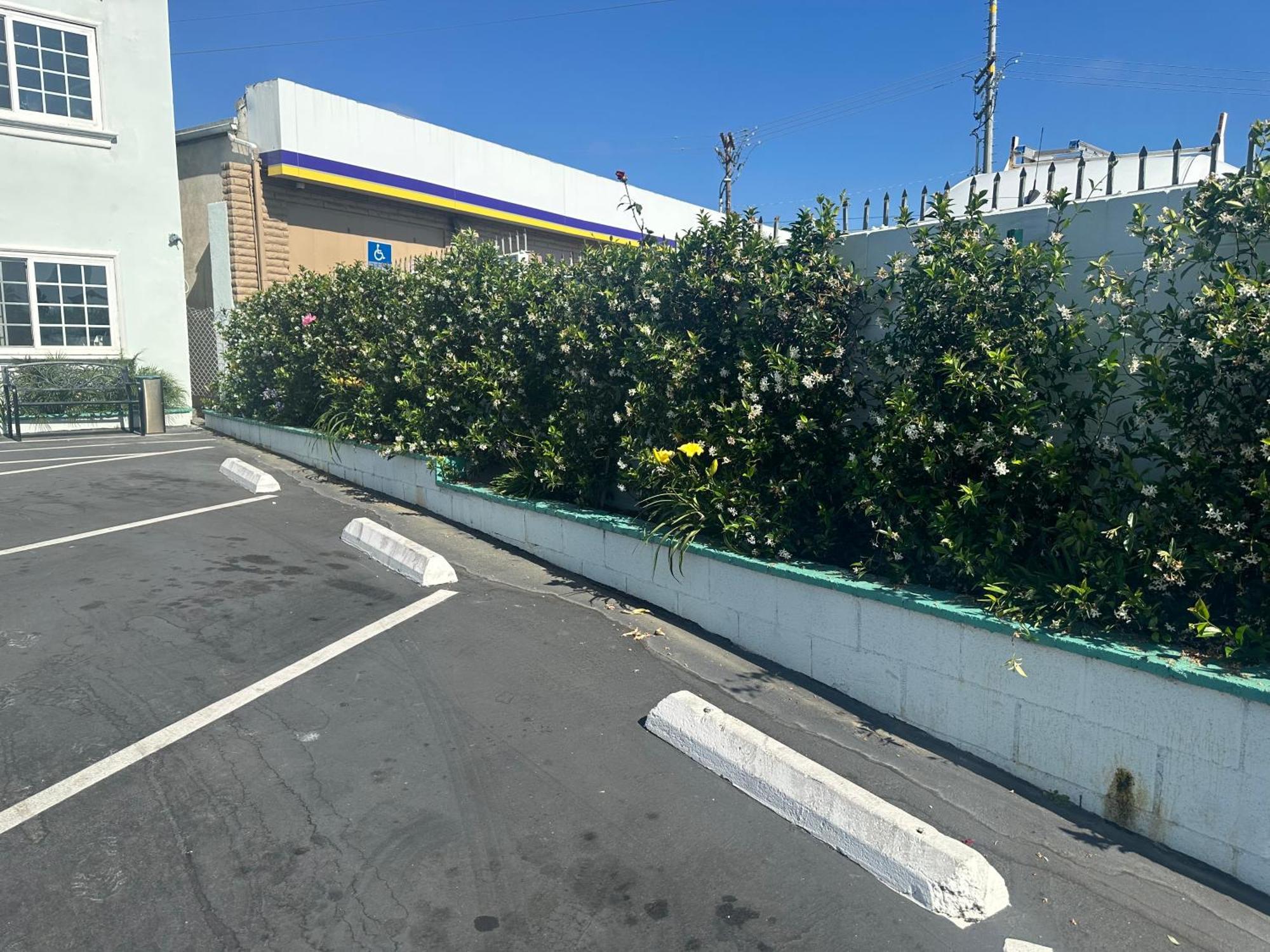 فندق Super 8 By Wyndham Oceanside Downtown المظهر الخارجي الصورة